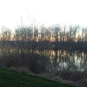 Meet your Posher, Lilly